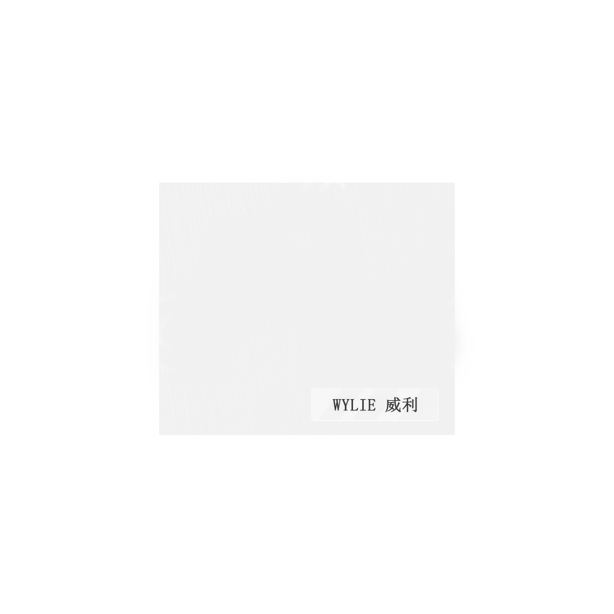 پد نسوز WYLIE LCD